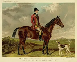 Buckhounds: HORSE / CHARLES DAVIS