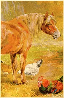 C1910: HORSE & CHICKENS C1910