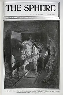 Tack: Horse in coalmine