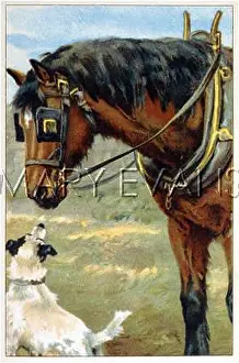 Converses: HORSE & DOG C1910