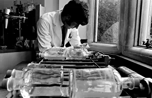 Analysing: Horse doping tests in a laboratory, Newmarket