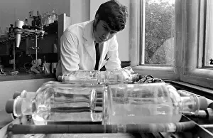 Analysing: Horse doping tests in a laboratory, Newmarket