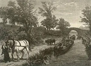 Tempted: Horse-drawn Canal Barge