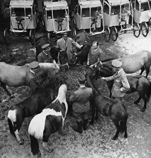 Cabs: Horse-drawn carriage in Amsterdam during the Second Worl
