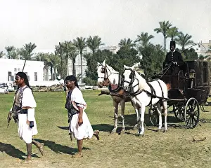 Sais: Horse-drawn carriage, Egypt