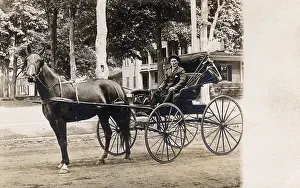 Blinkers: Horse-drawn carriage, USA