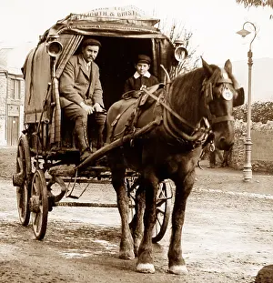 Haulier: Horse drawn carrier haulier
