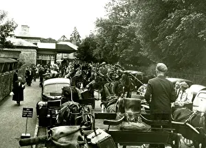 Jarvey: Horse-drawn carts, Killarney, County Kerry, Ireland