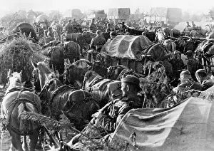 Stops: A horse-drawn German column stops on the side of a