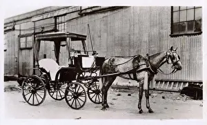 Gibraltar: Horse-drawn hackney carriage, Gibraltar