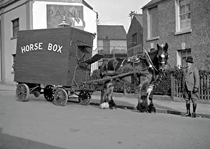 Blinkers: Horse-drawn horse box