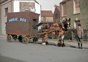 Blinkers: Horse-drawn horse box