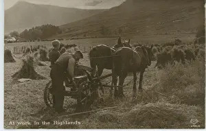 Plough: Horse Drawn Plough