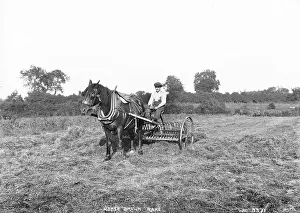 Rake: Horse Drawn Rake
