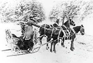 Sledges: Horse-Drawn Sledge - Russian Troika