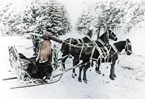 Sledges: Horse-Drawn Sledge - Russian Troika