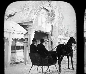 Snowcapped: Horse-Drawn Sleigh