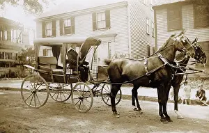 Blinkers: Horse-drawn surrey, USA