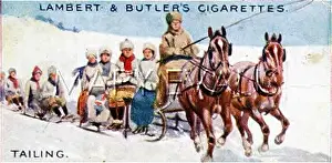 Tailing: HORSE-DRAWN TAILING 1914