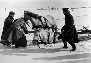 Ebert: Horse-drawn vehicle on the eastern front, 1942