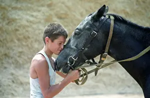 Simanovsky: Horse farm, 1996