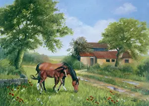 Winnie: Horse and Foal