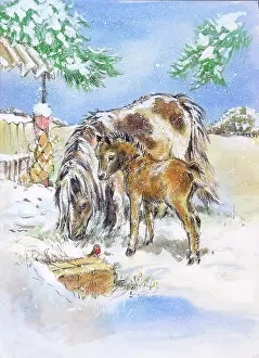Matthes: Horse and Foal with Robin in Snow