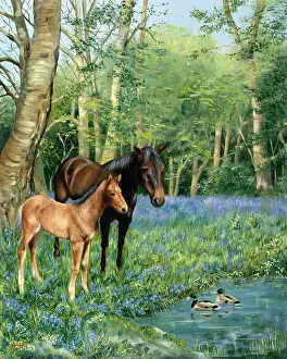 Winnie: Horse and Foal -- in spring meadow