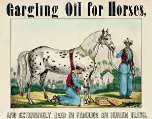 Prevention: horse gargling oil sold by G.W. Merchants