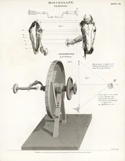 Wollaston: Horse glanders and Wollaston's goniometer