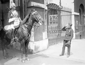 Mops: Horse Guards Parade