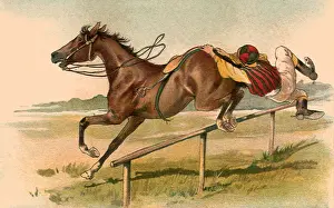 Barely: Horse Jumps Almost Solo