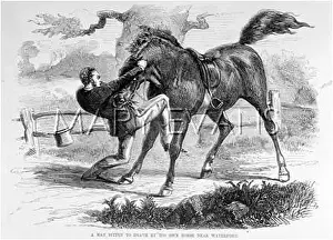 Irishman: HORSE KILLS OWNER 1870