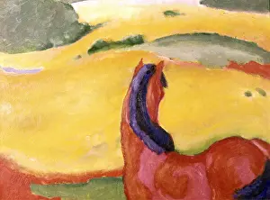 Pferd: Horse in a landscape