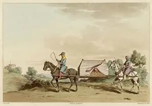Occupant: HORSE LITTER OF 1325