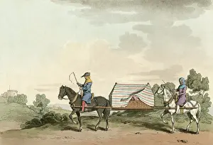 Slowly: Horse Litter (Smith)