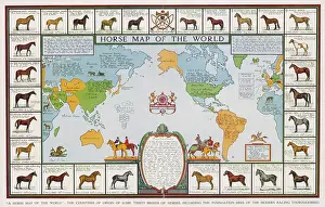 HORSE MAP OF WORLD 1936
