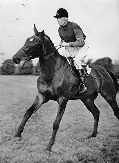 Steeplechases: The horse MARCONI in the royal colors