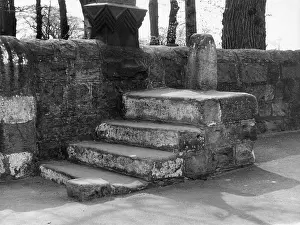Adel: HORSE MOUNTING STEPS