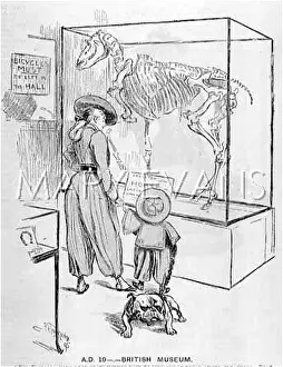 Imagined: HORSE AS MUSEUM PIECE