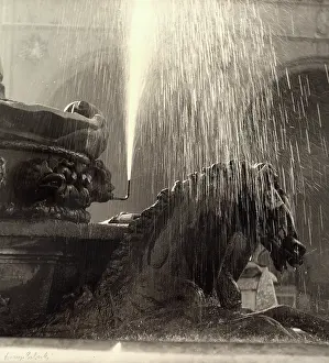 Giambologna: Horse, detail of the Neptune