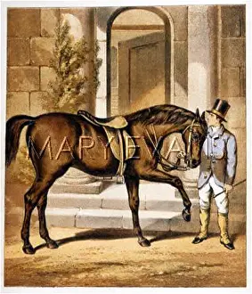Hack: HORSE PARK HACK C1880