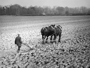 Blewbury: HORSE PLOUGH 1939