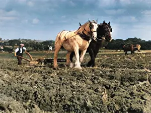 Oncolourisedpic: HORSE PLOUGH