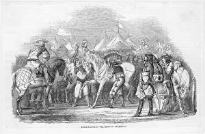 Finely: HORSE PREPARED FOR RACE