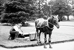 Mowing: Horse-pulled lawn mower, Victorian period