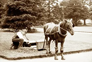 Mowing: Horse-pulled lawn mower, Victorian period