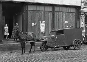 Shafts: Horse pulling a vehicle