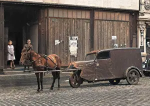 Battered: Horse pulling a vehicle