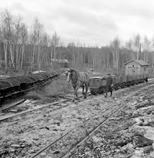 Kladno: Horse pulls heavy mine vehicles